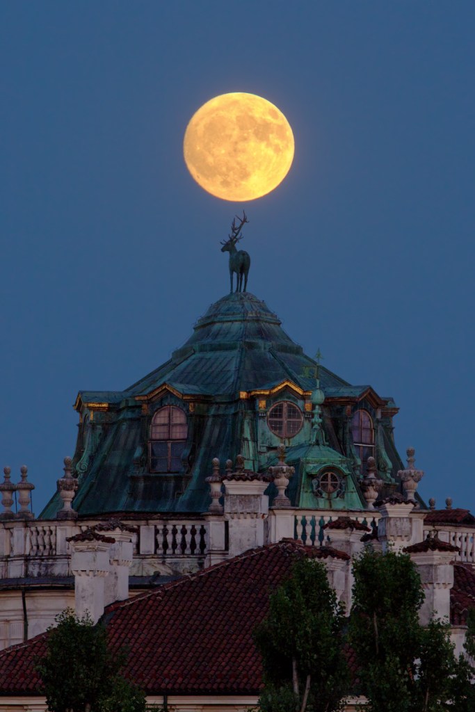 La (quasi) Luna del cervo allineata alla statua del cervo sulla Palazzina di caccia di Stupinigi.